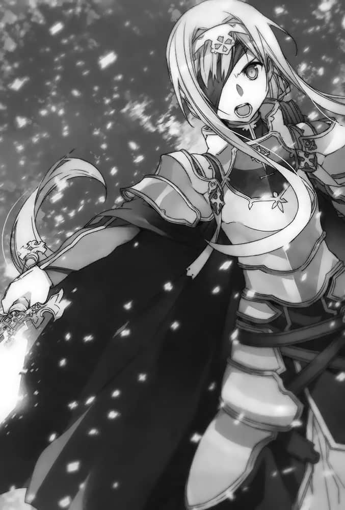 《刀劍神域 Sword Art Online》14 Alicization Uniting 插圖（10）