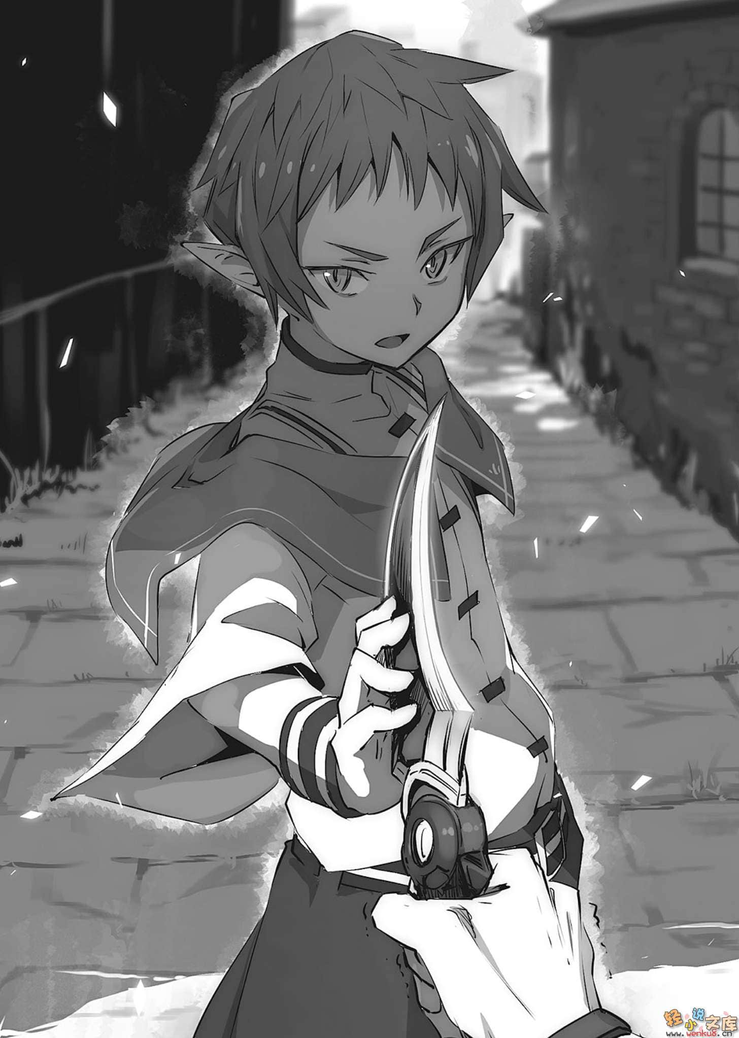 武艺精研百余年 转世成精灵重拾武者修行小说插图（9）