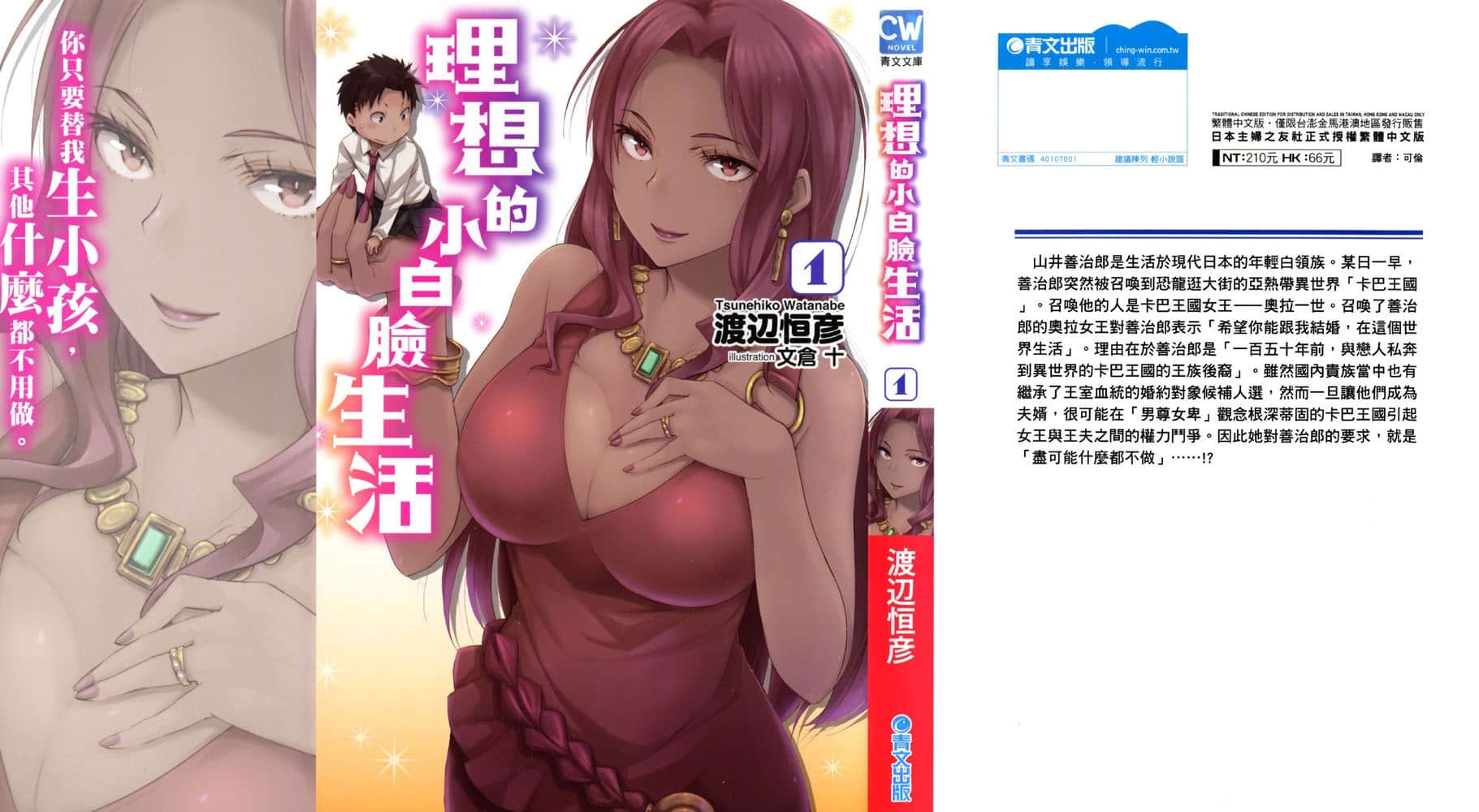 理想的小白脸生活小说插图（13）