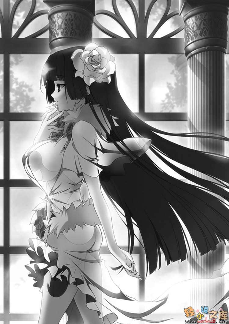 《魔弹之王与战姬》9 插图（9）