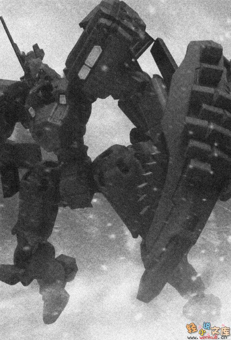 《MUV-LUV Schwarzes marken》1 插图（19）