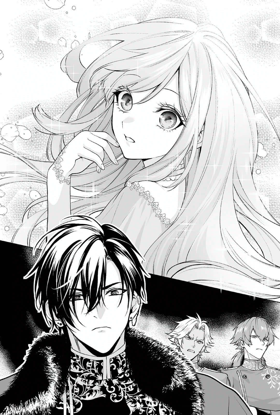 嫁入敌国孤立无援的我，看来似乎是最强种族魔女的样子？小说插图（15）