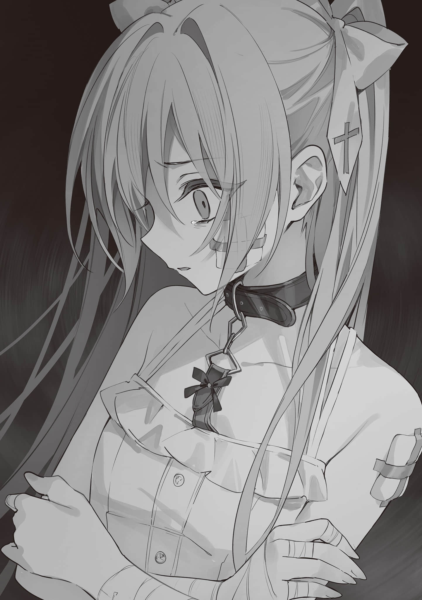 《CARNEADES》2 孤高的吸血姬与孤独的流浪猫 插图（11）