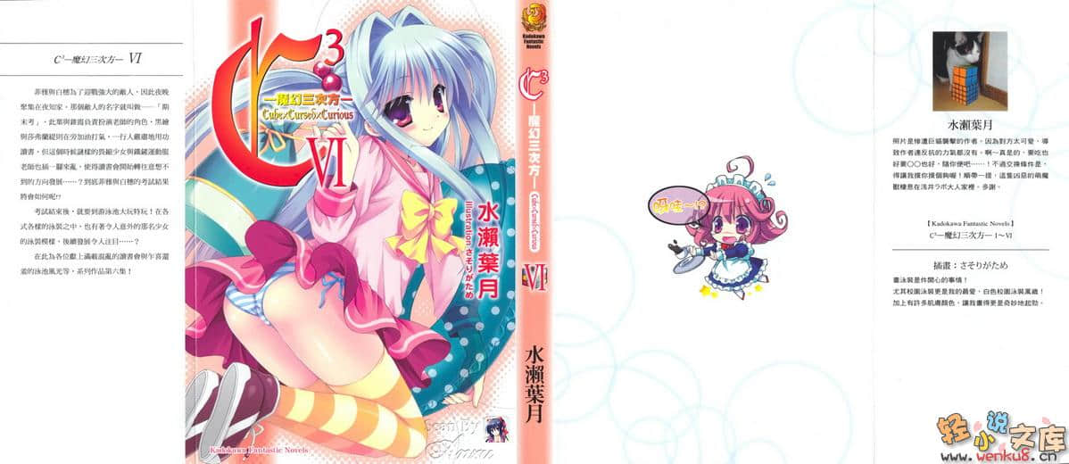 《C3魔幻三次方》6 插图（1）