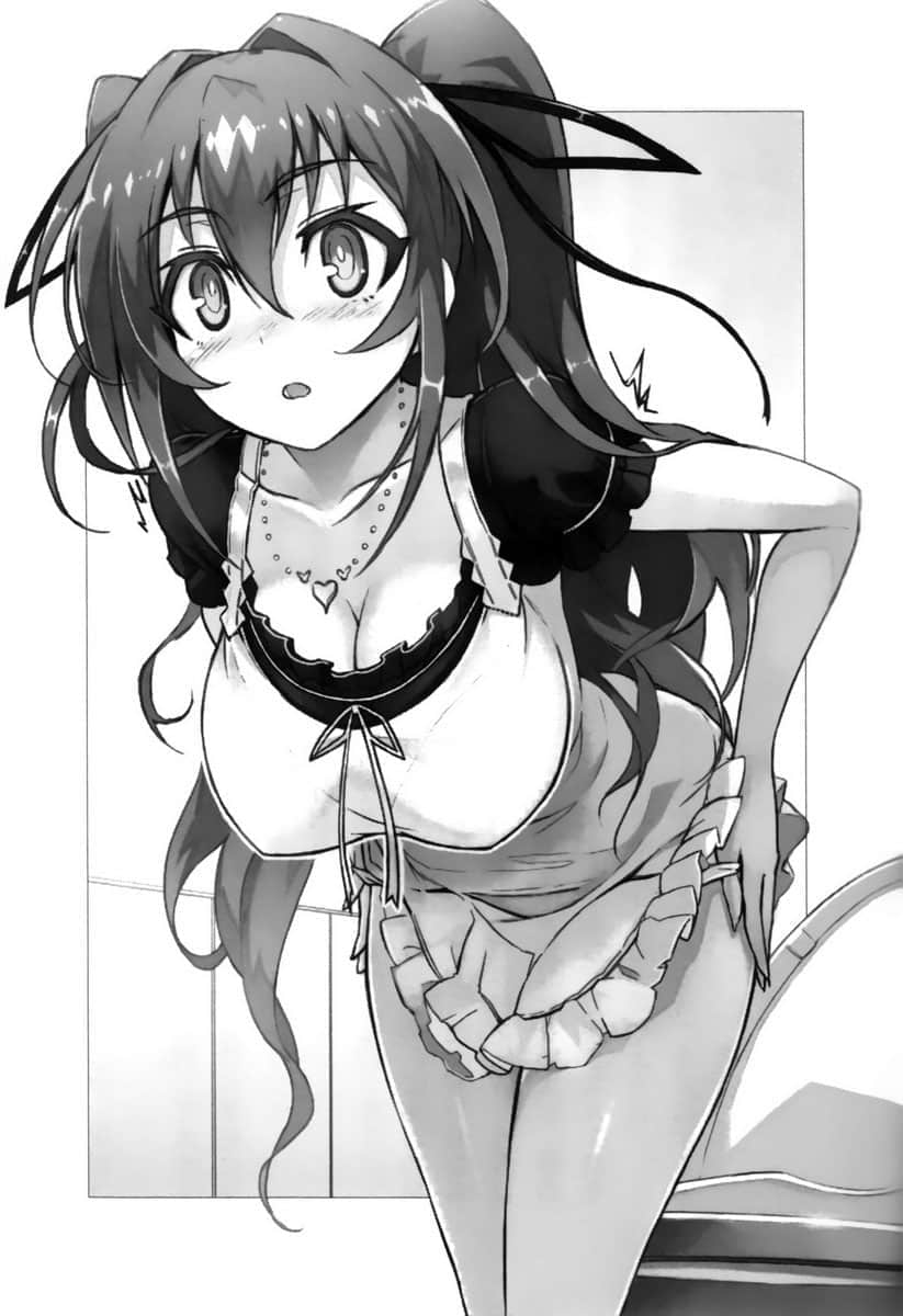 新妹魔王的契约者小说插图（23）