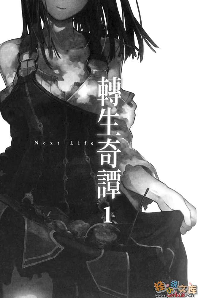 转生奇谭小说插图（18）