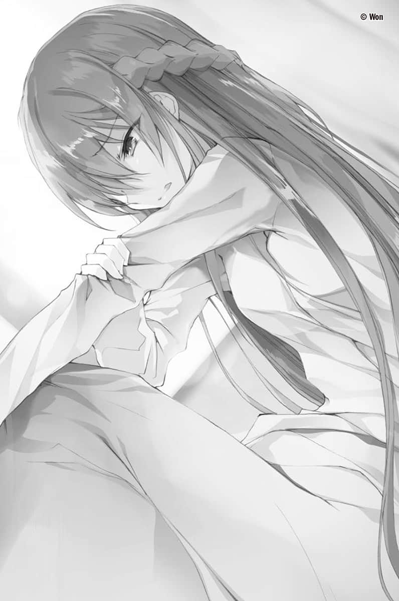 《落第骑士英雄谭》12 插图（7）