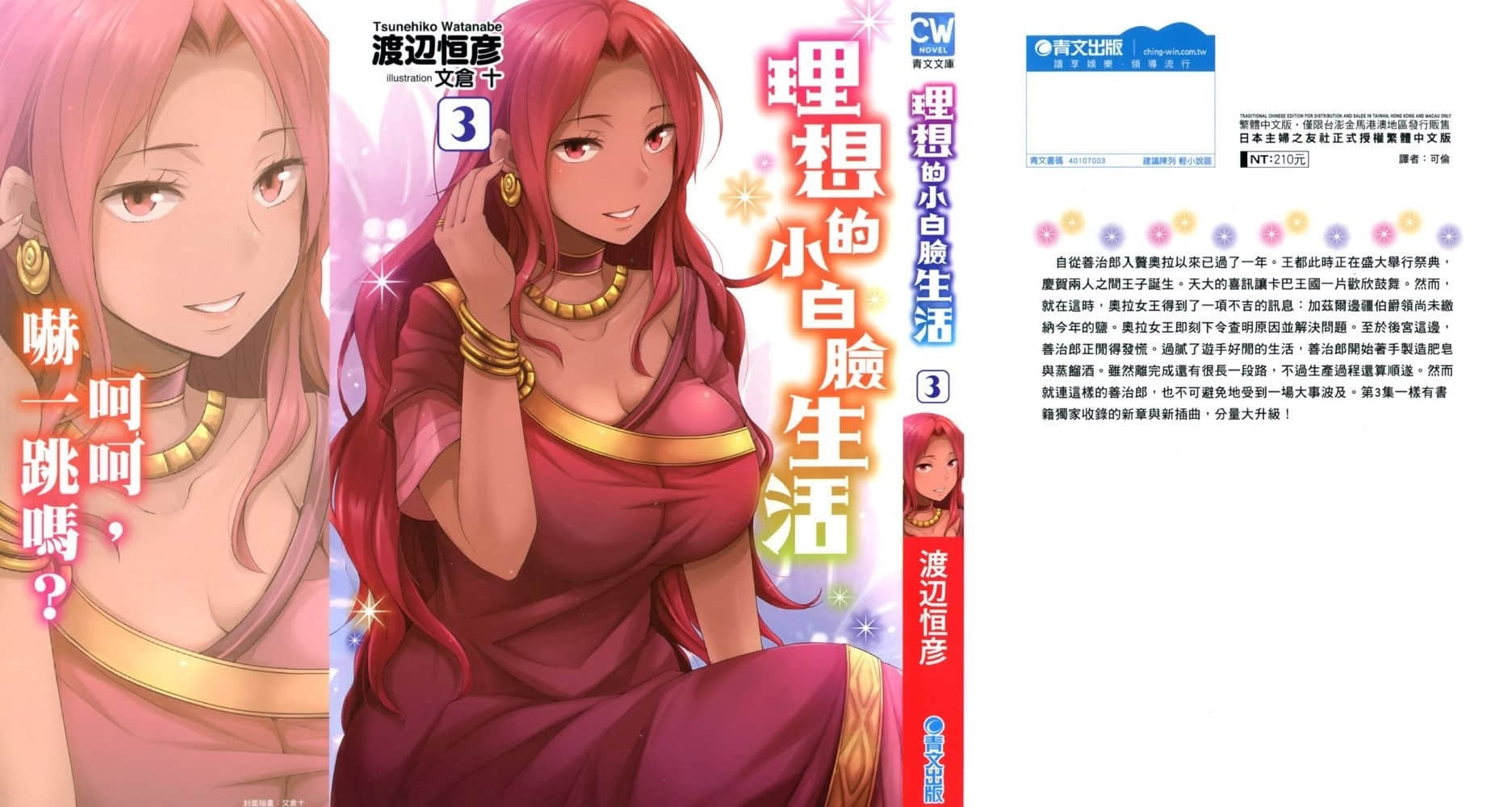《理想的小白脸生活》3 附篇 主子与侍N的间接交流（文化摩擦）插图（2）