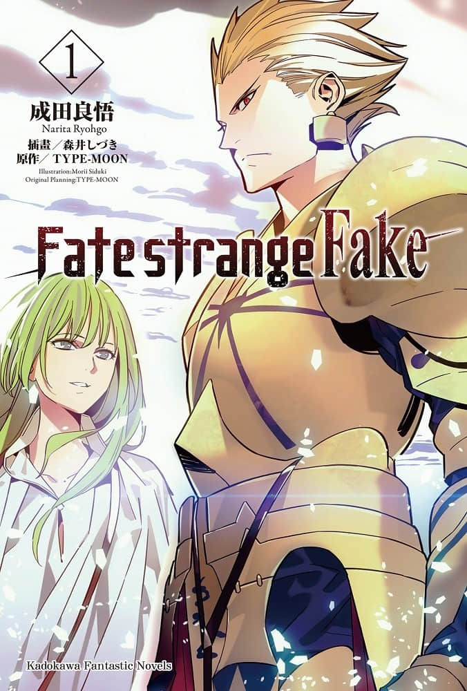 Fate/Strange Fake小说插图（18）