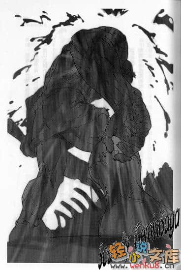 《白貌传道师》1 插图（4）