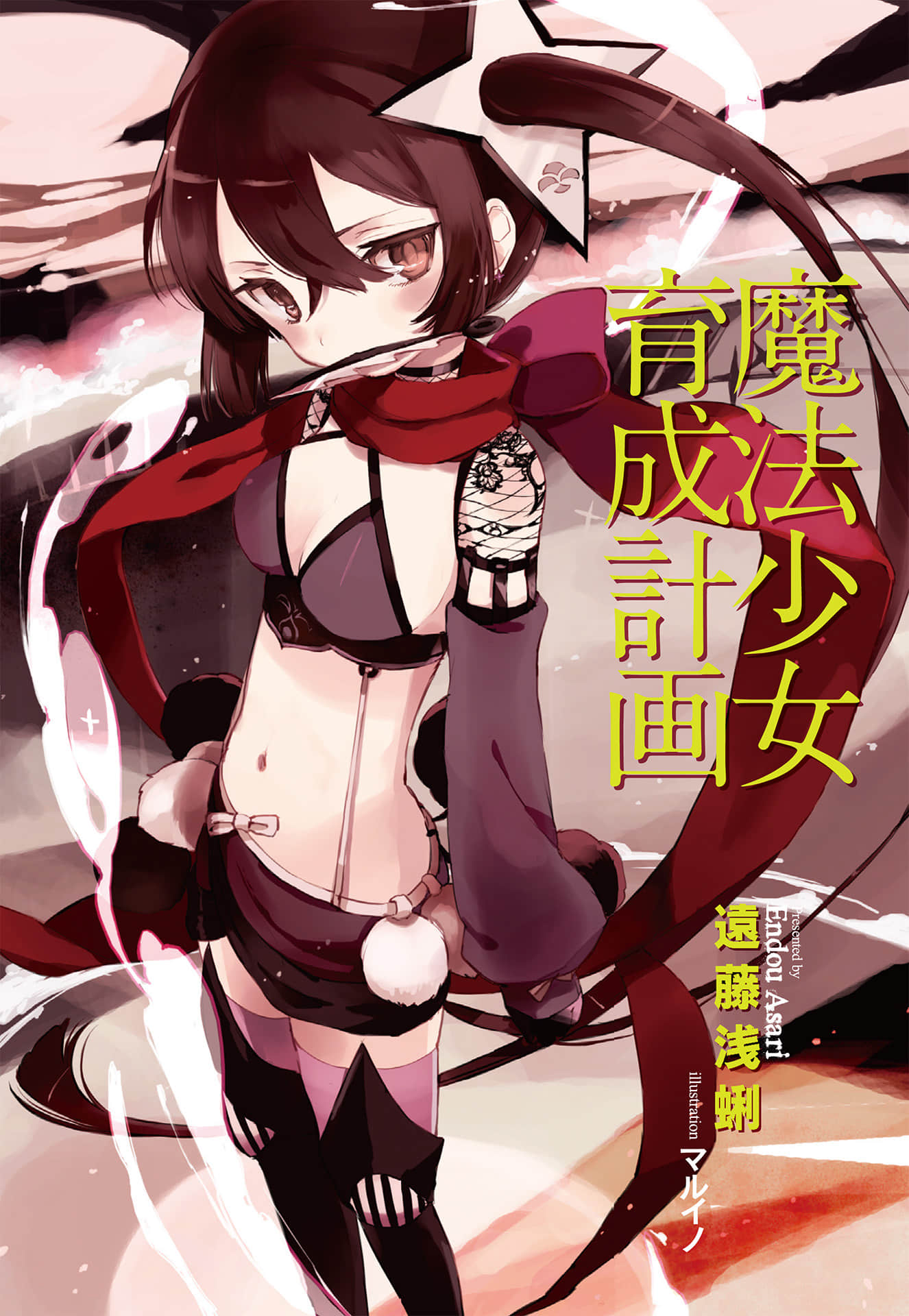 魔法少女育成计划小说插图（10）