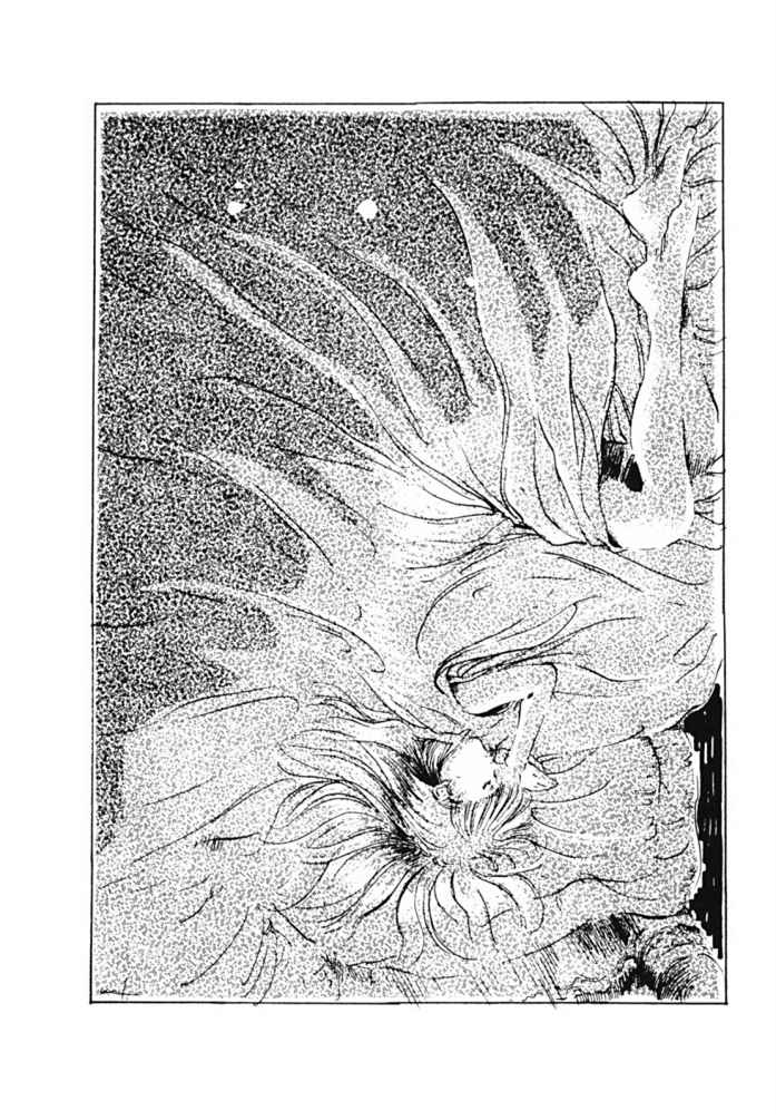 《机动战士高达 闪光的哈萨维》中册 插图（7）