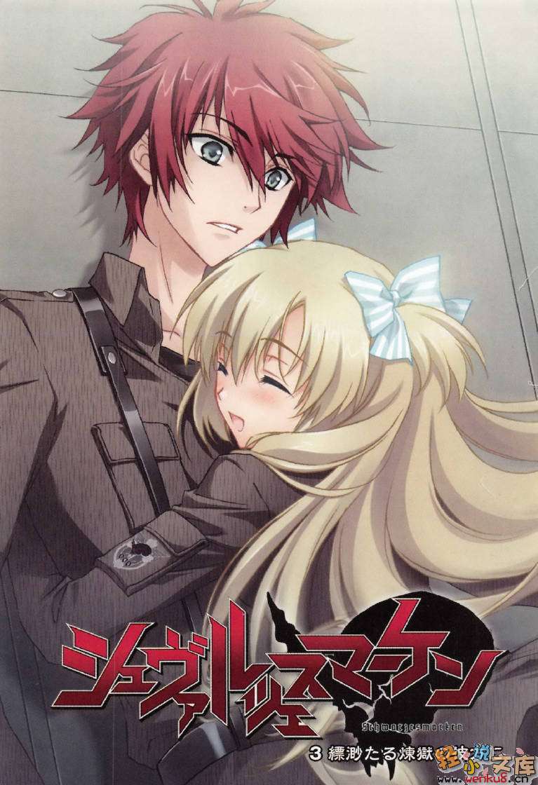 《MUV-LUV Schwarzes marken》3 插图（2）