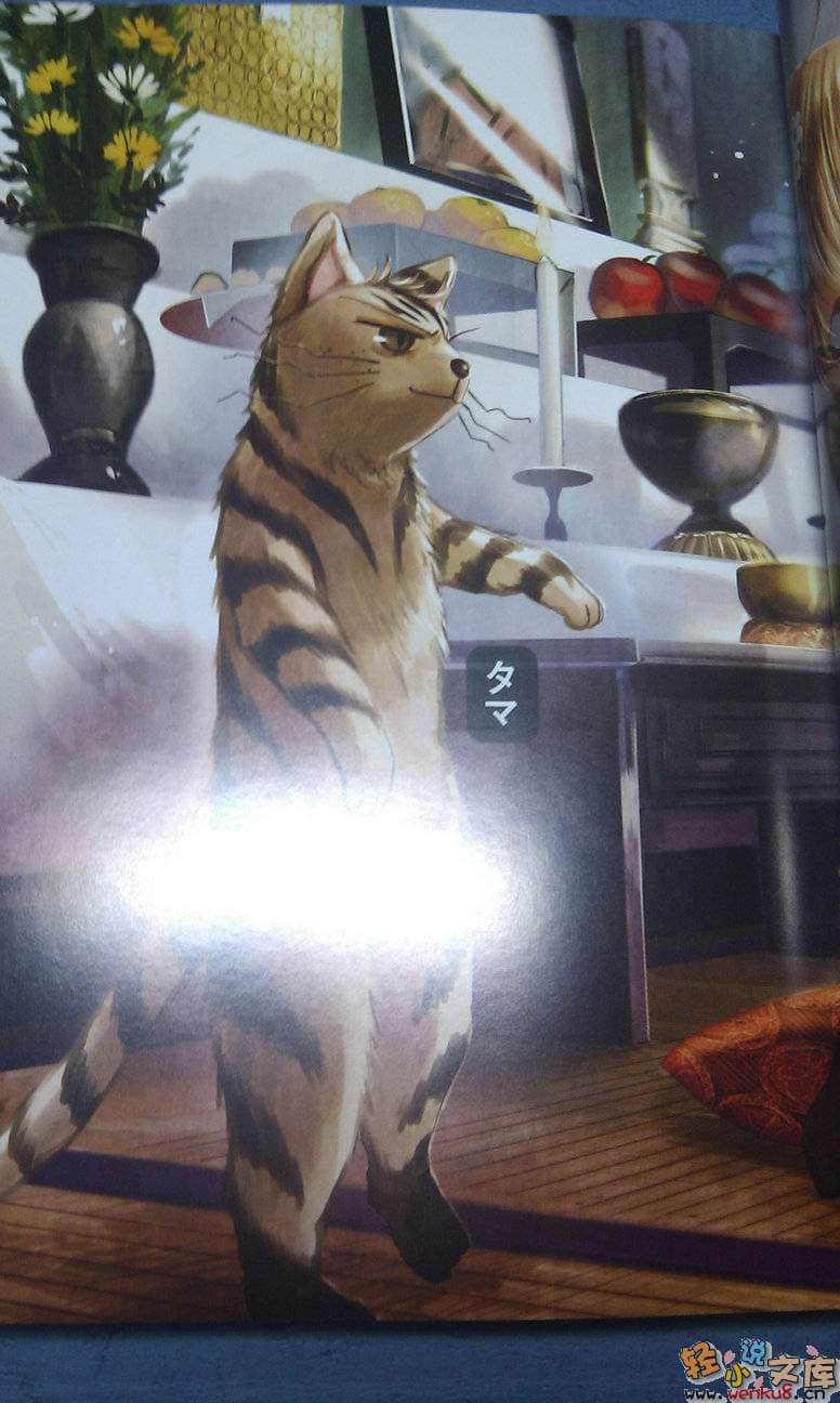 《猫所不能从事的职业》1 插图（4）