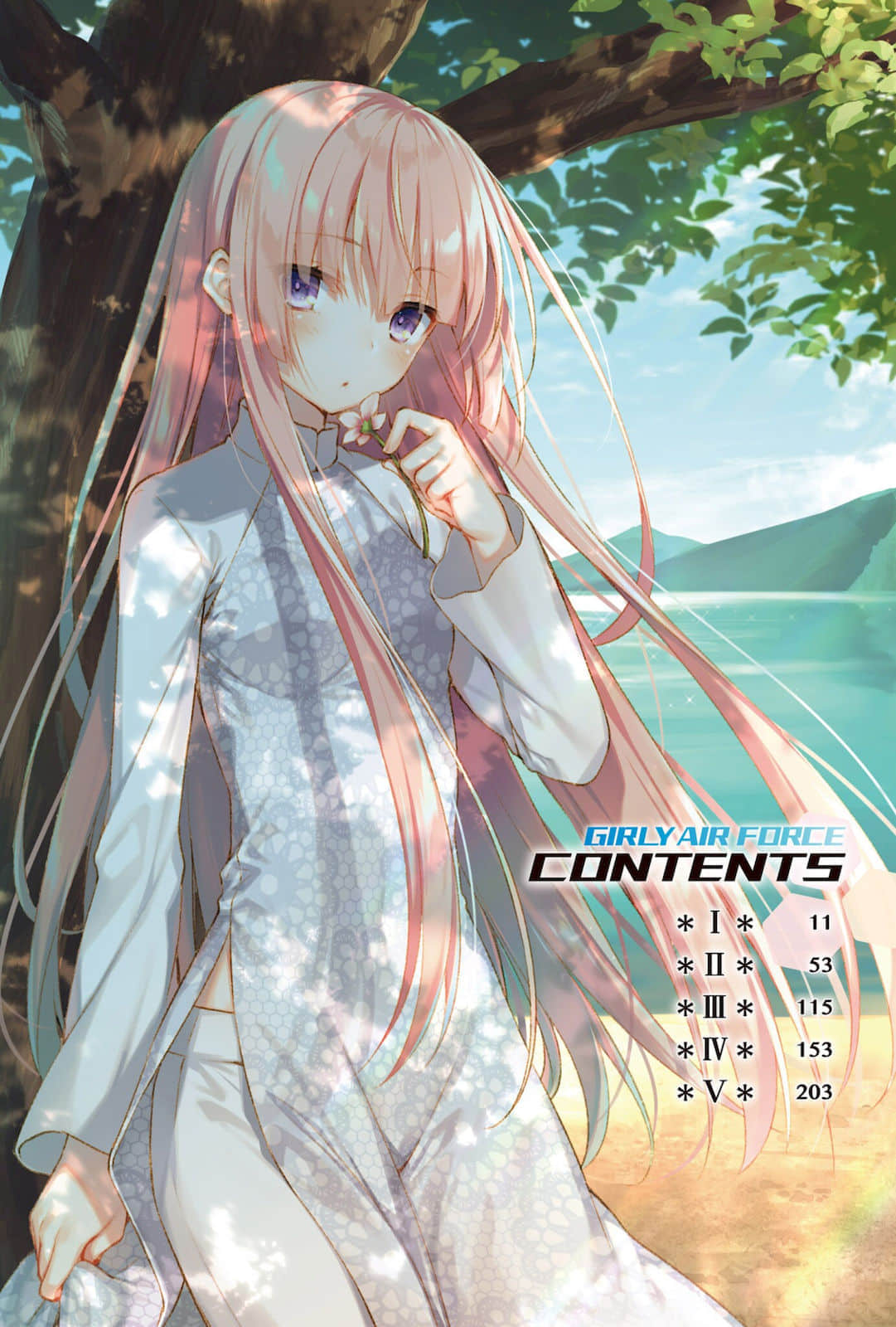 《飞翔吧!战机少女》9 插图(3)