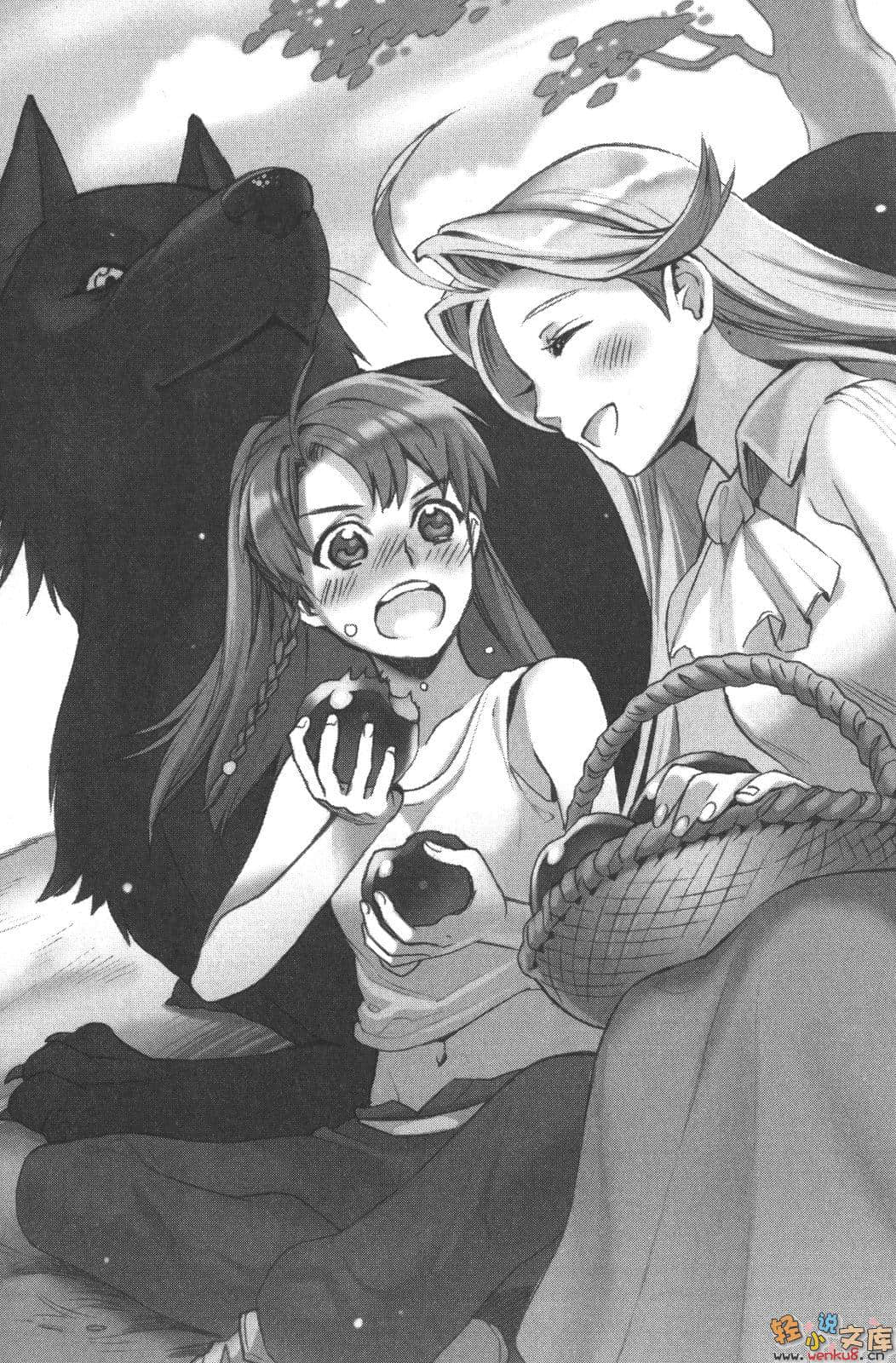 《轮环的魔导师》4 哈伊亚德的龙使 插图（5）