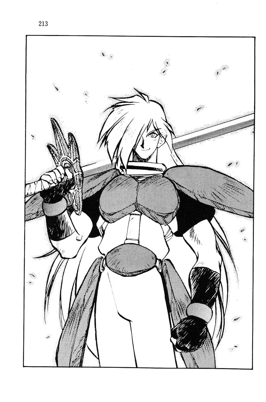 《Slayers！秀逗魔法士》5 白银的魔兽 插图（12）