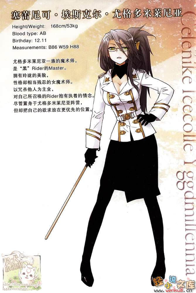 Fate Apocrypha小说插图（33）