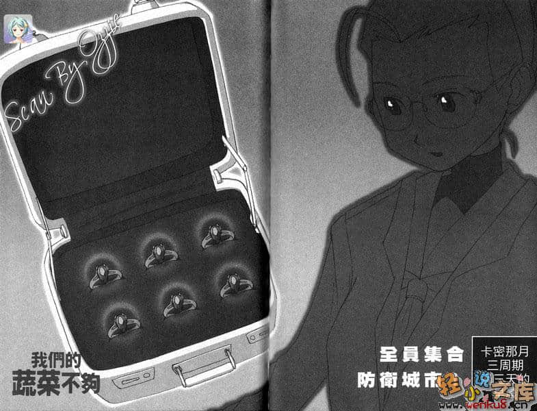 《我们的蔬菜不够》与田有关的Final-lesson4：埋错的时空胶囊 插图（14）