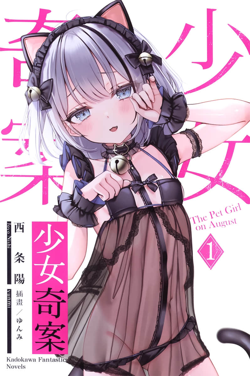少女奇案小说插图（11）