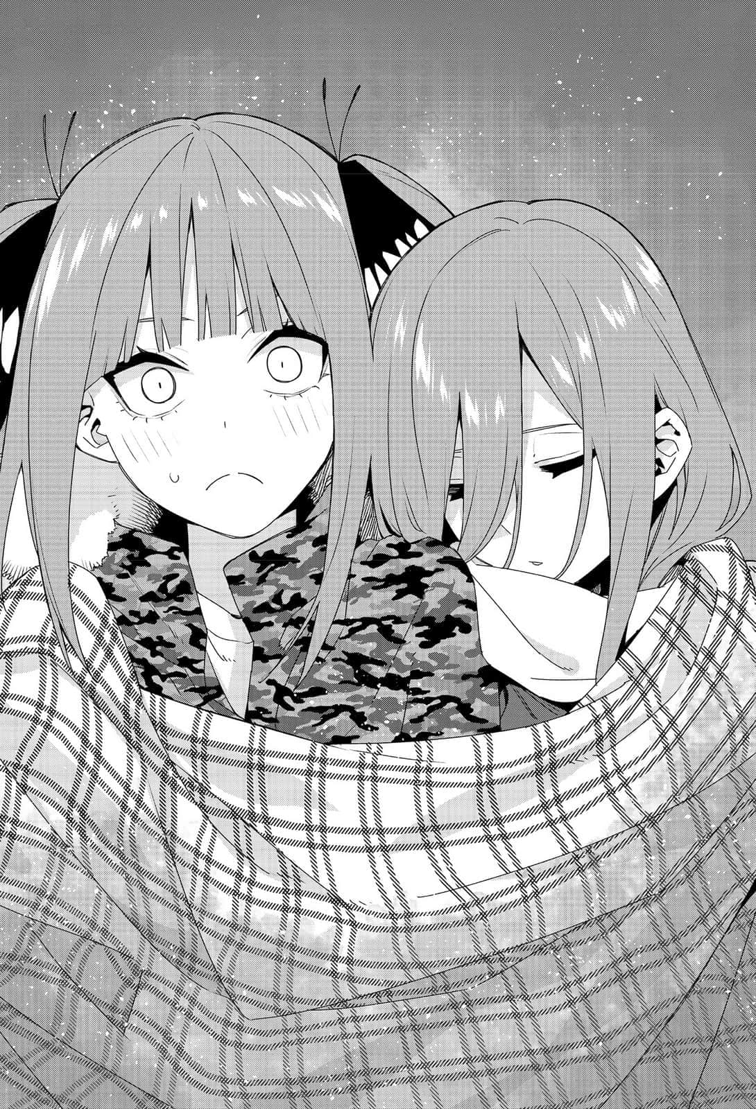 五等分的新娘【春夏秋冬】小说插图（5）