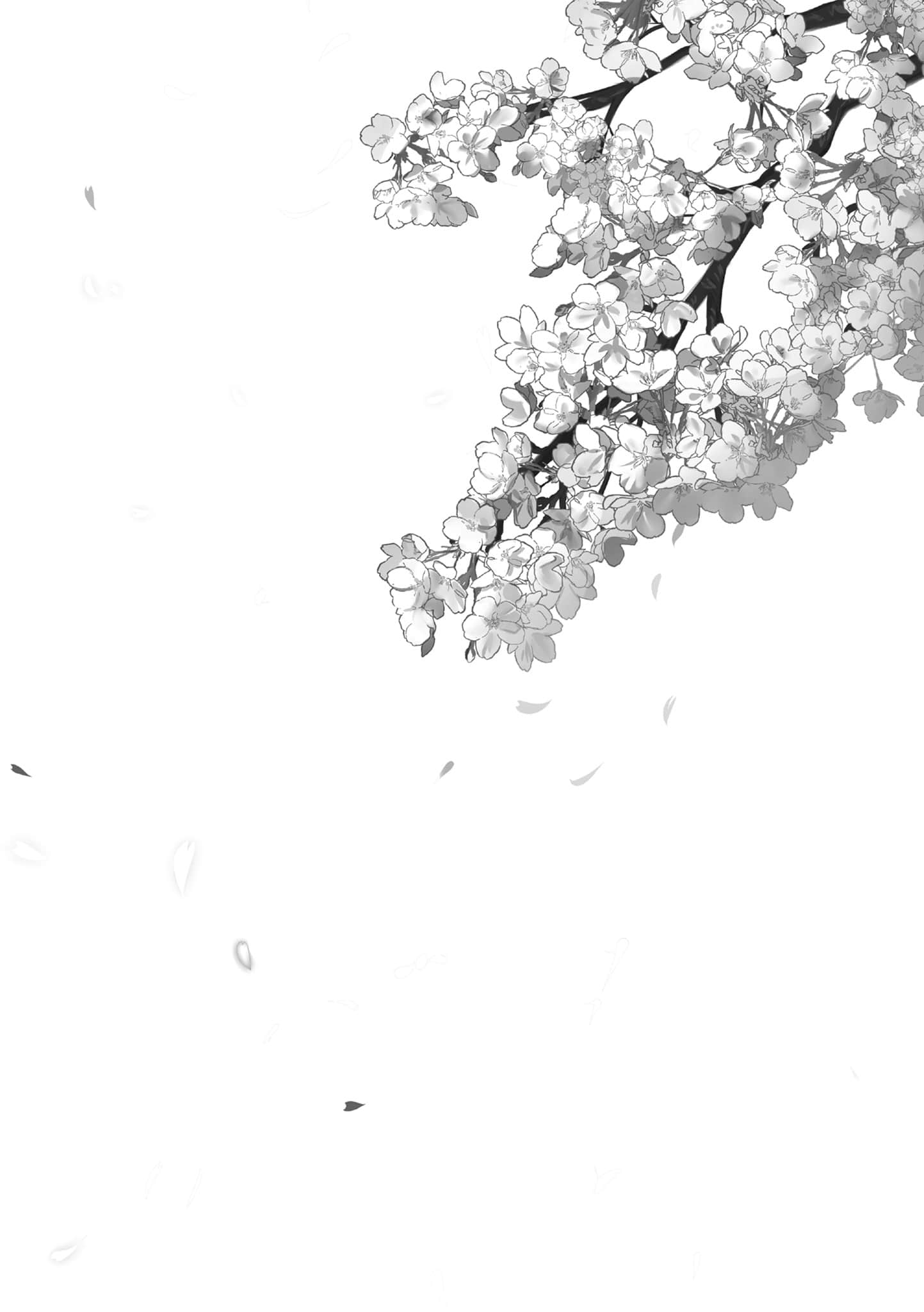 《美里活在猫的眼眸里》全一册(网译) 插图（6）