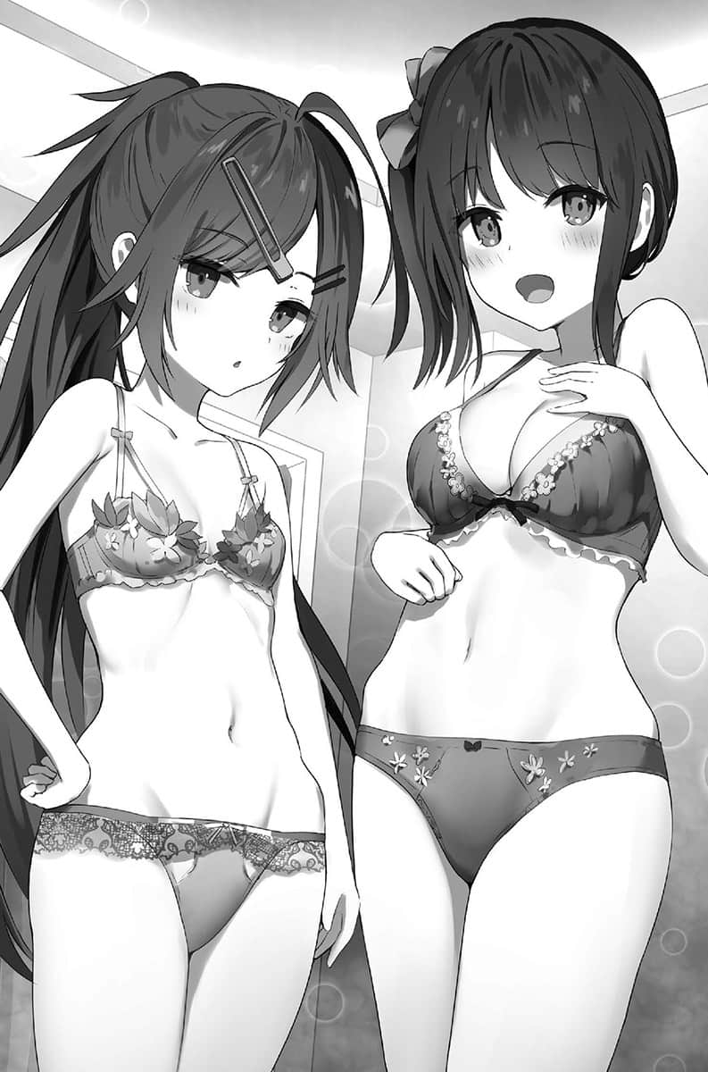 内衣女孩任你摆布小说插图（15）