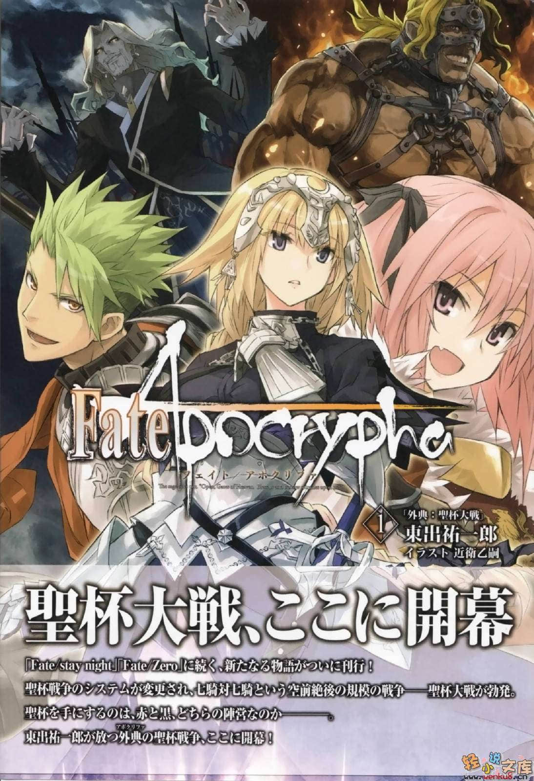 Fate Apocrypha小说插图（8）