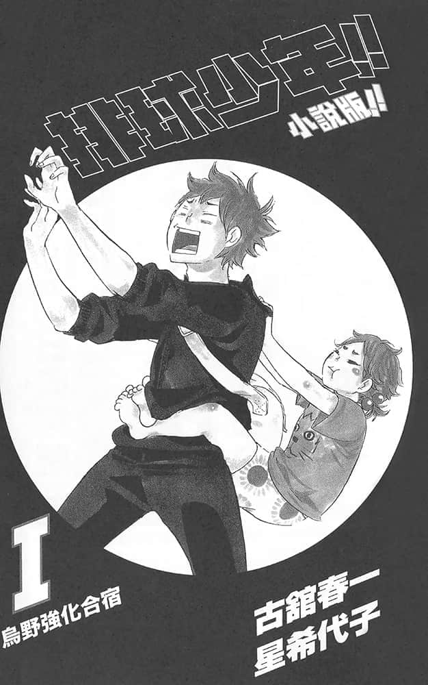 《排球少年!!》1 乌野强化合宿 插图（5）