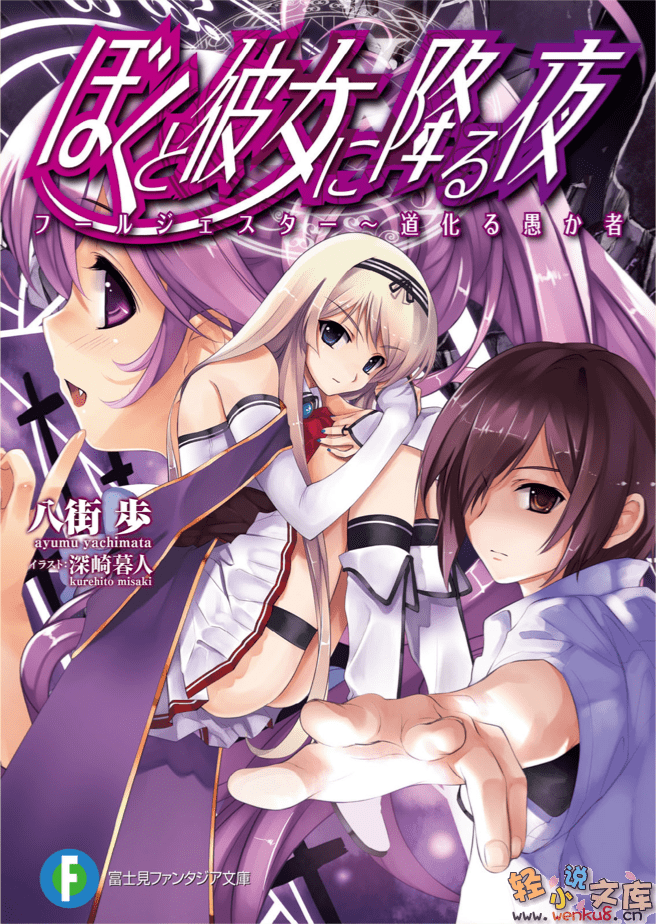 《降临于我与她之夜》3 Fool Jester 戏谑之愚者 插图（1）