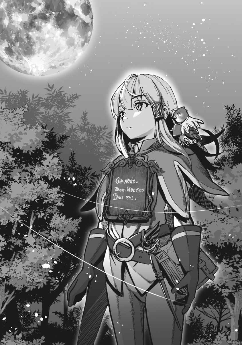 《不會啼叫的金絲雀物語 ～啞巴魔法使和仿真小鳥所追尋之物～》1：那是，尋找線索的故事 夜襲【6/6】插圖（1）