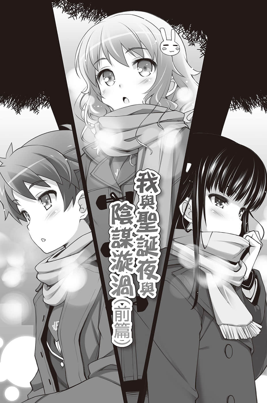 《笨蛋，測驗，召喚獸》12.5 我與聖誕夜與陰謀漩渦（前篇）插圖（1）