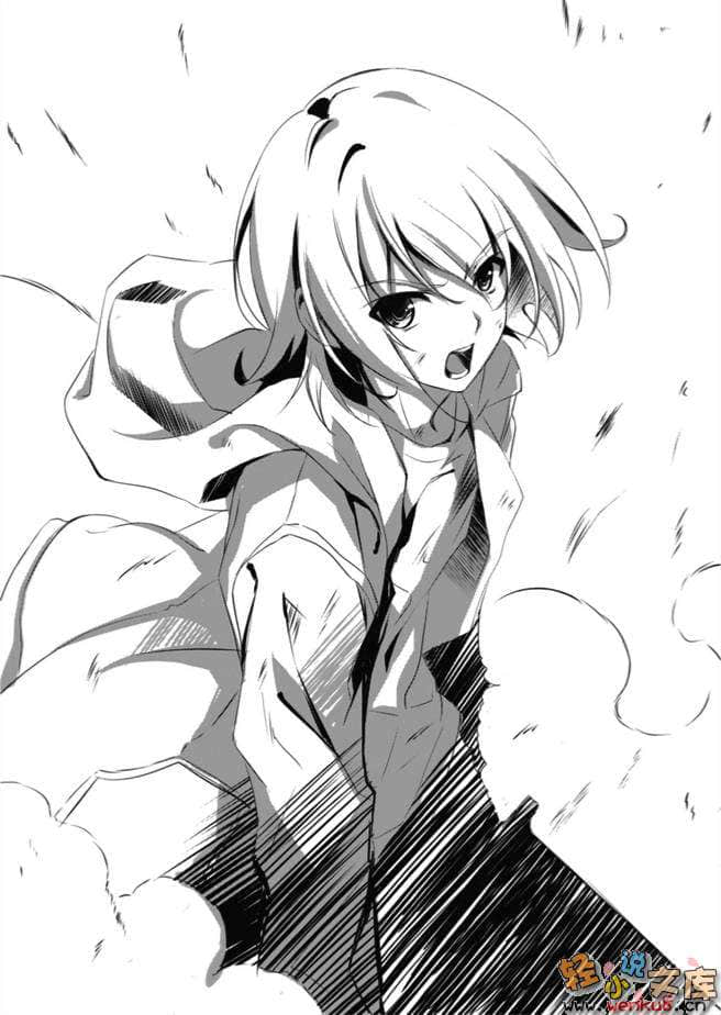 《降临于我与她之夜》8 Ability Zero 虚空未来 插图（10）