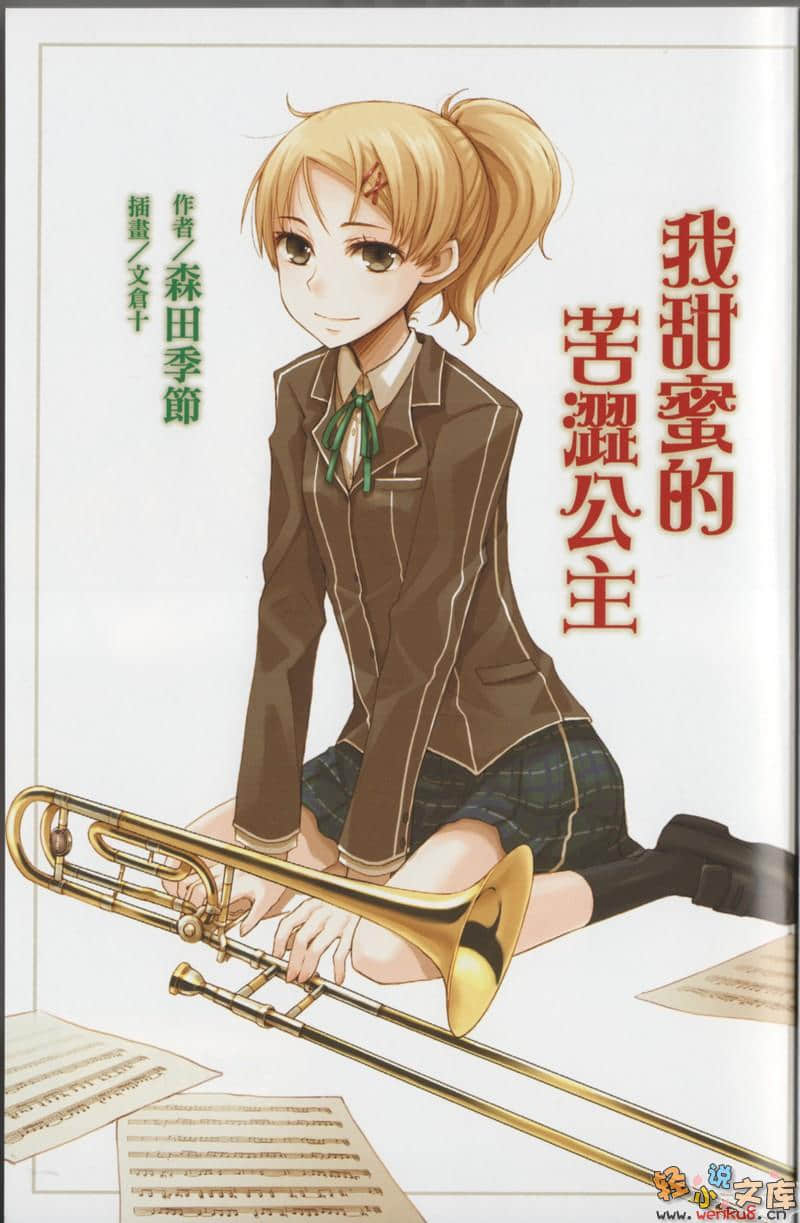 我甜蜜的苦涩系列小说插图（19）