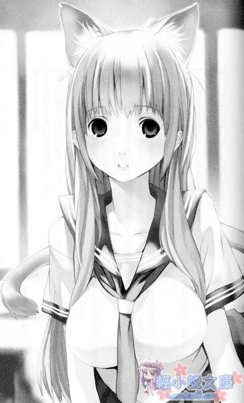 《玩伴猫耳娘》5 小喵喵们的学园祭 插图（7）