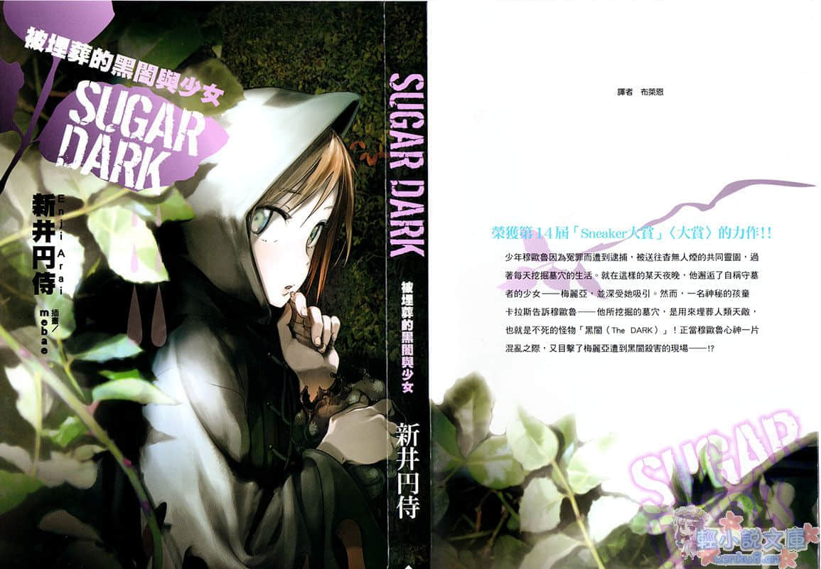SUGAR DARK 被埋葬的黑暗与少女小说插图（6）