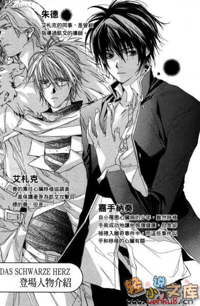 DAS SCHWARZE HERZ 黑色心脏小说插图（22）