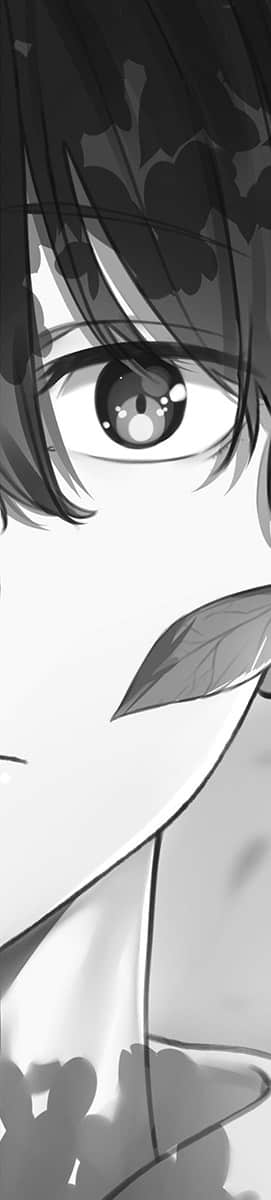 美里活在猫的眼眸里小说插图（1）