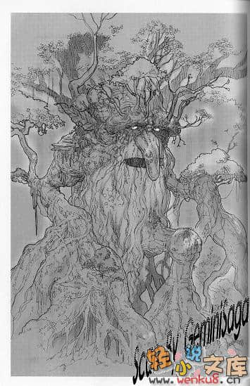 《白貌传道师》1 插图（13）