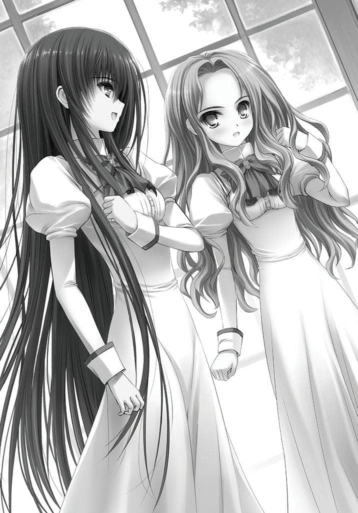 《少女爱上姐姐２》2 隔窗的异乡人 插图（8）