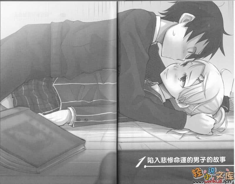 我甜蜜的苦涩系列小说插图（18）