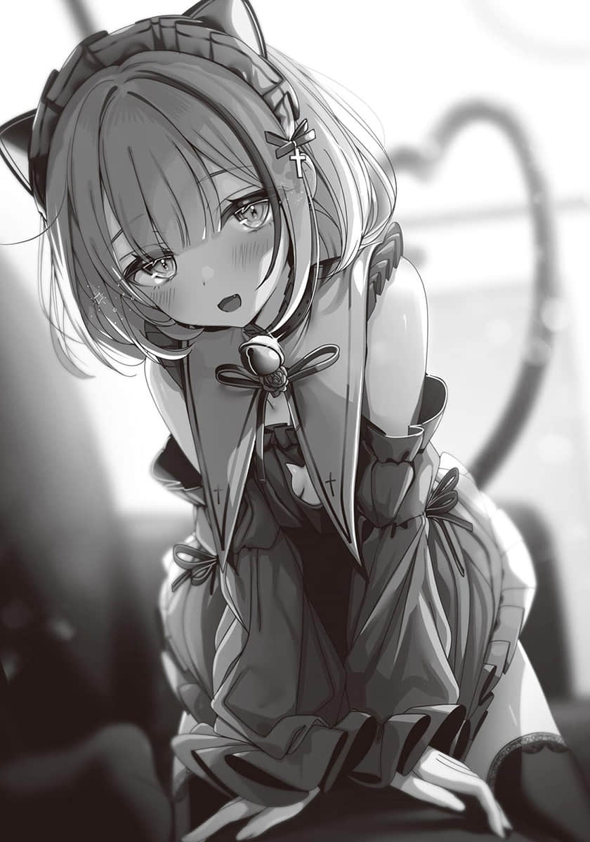 少女奇案小说插图（14）