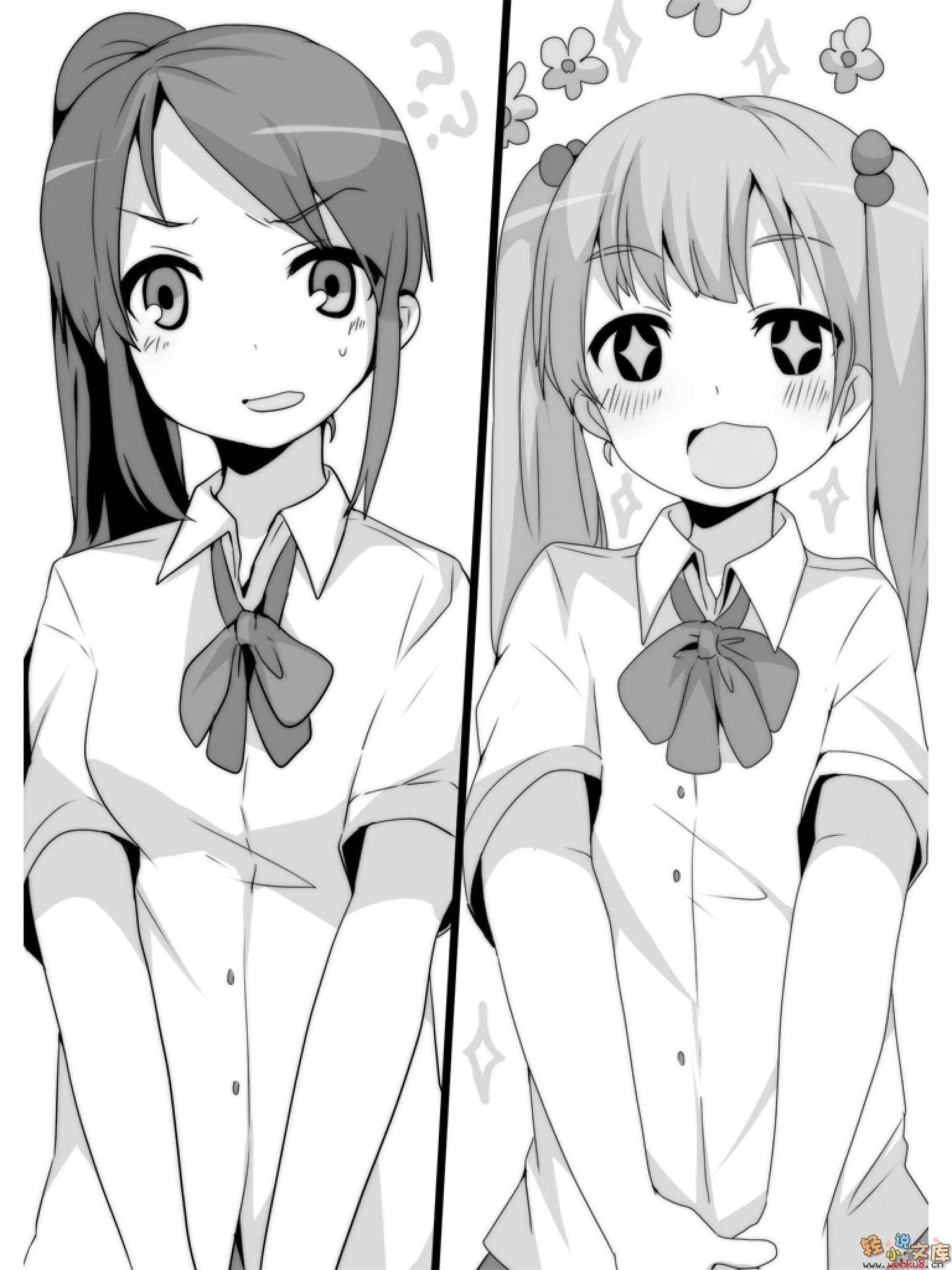 妹妹监护人小说插图（2）