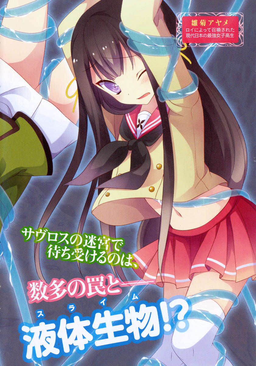 《扉之魔术师的召唤契约》3 萨夫洛斯迷宫 插图（5）