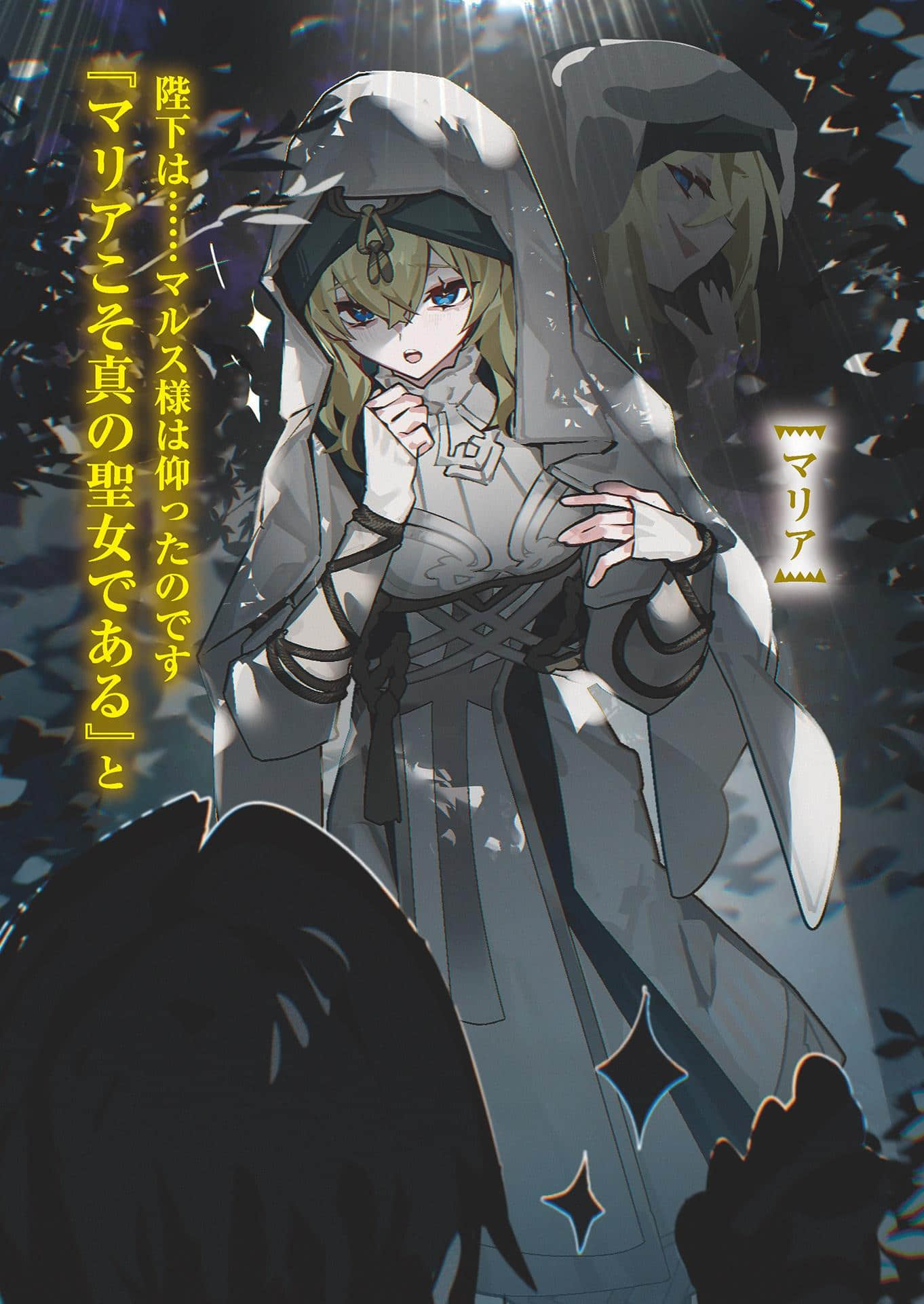 《吃了魔物肉就登上王位这档事》3（网译） 插图（5）