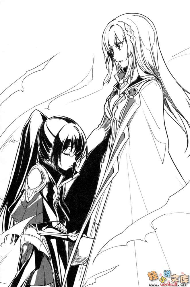 《圣剑与魔龙的世界》2 插图（14）