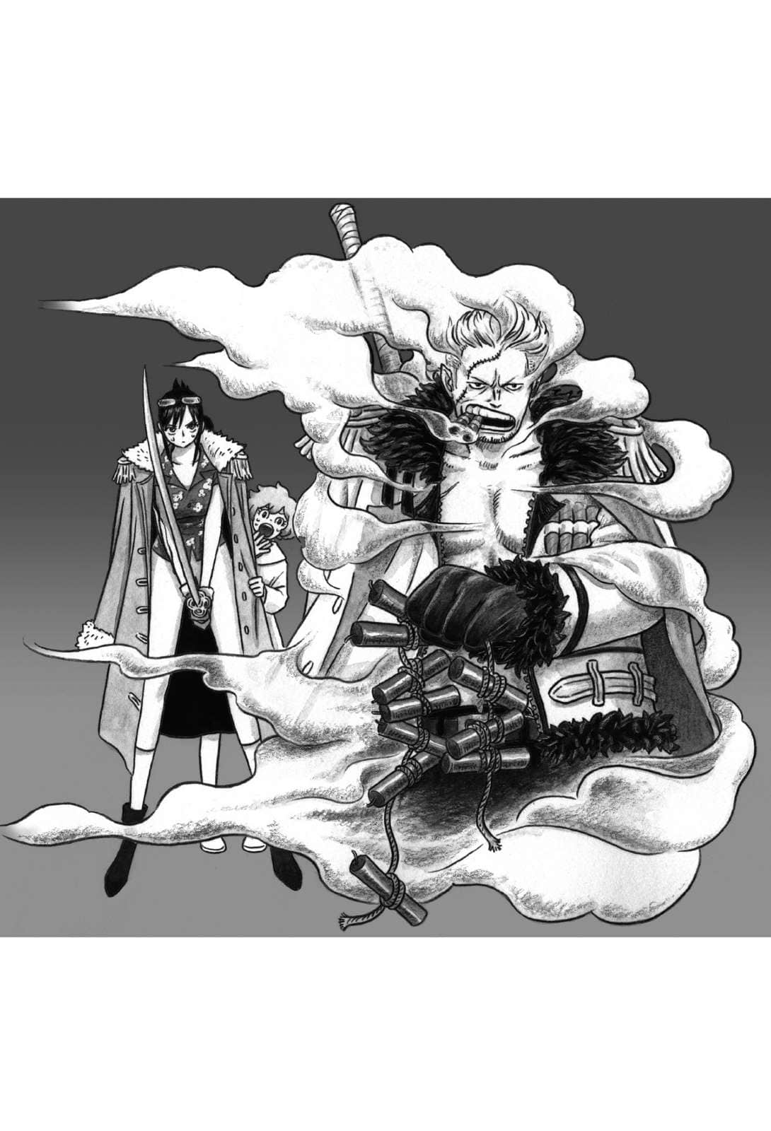 《ONE PIECE novel HEROINES 航海王 女英雄们的故事》2 Colorful 插图（16）