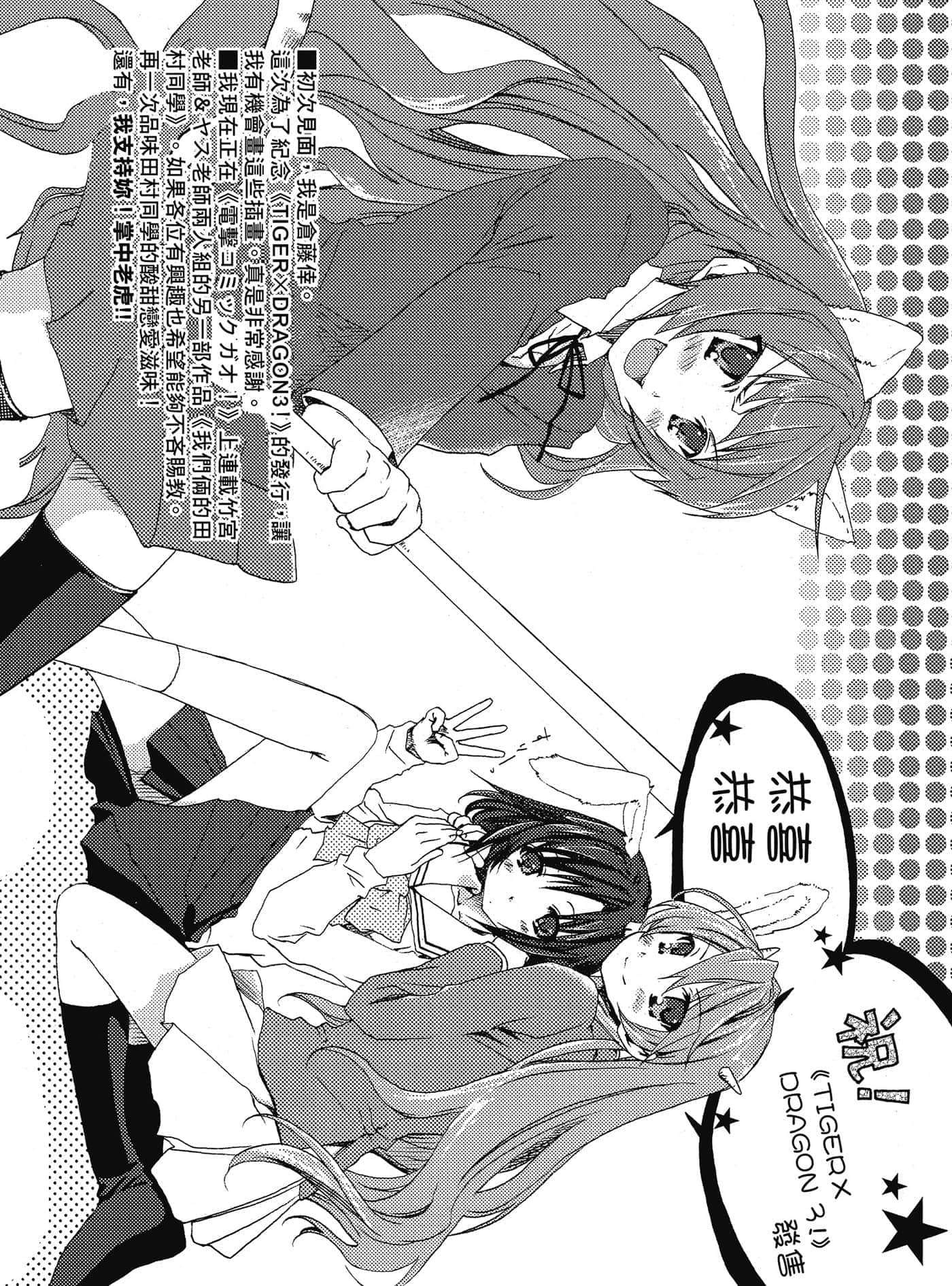 《TIGER×DRAGON！》3 后记插图（1）