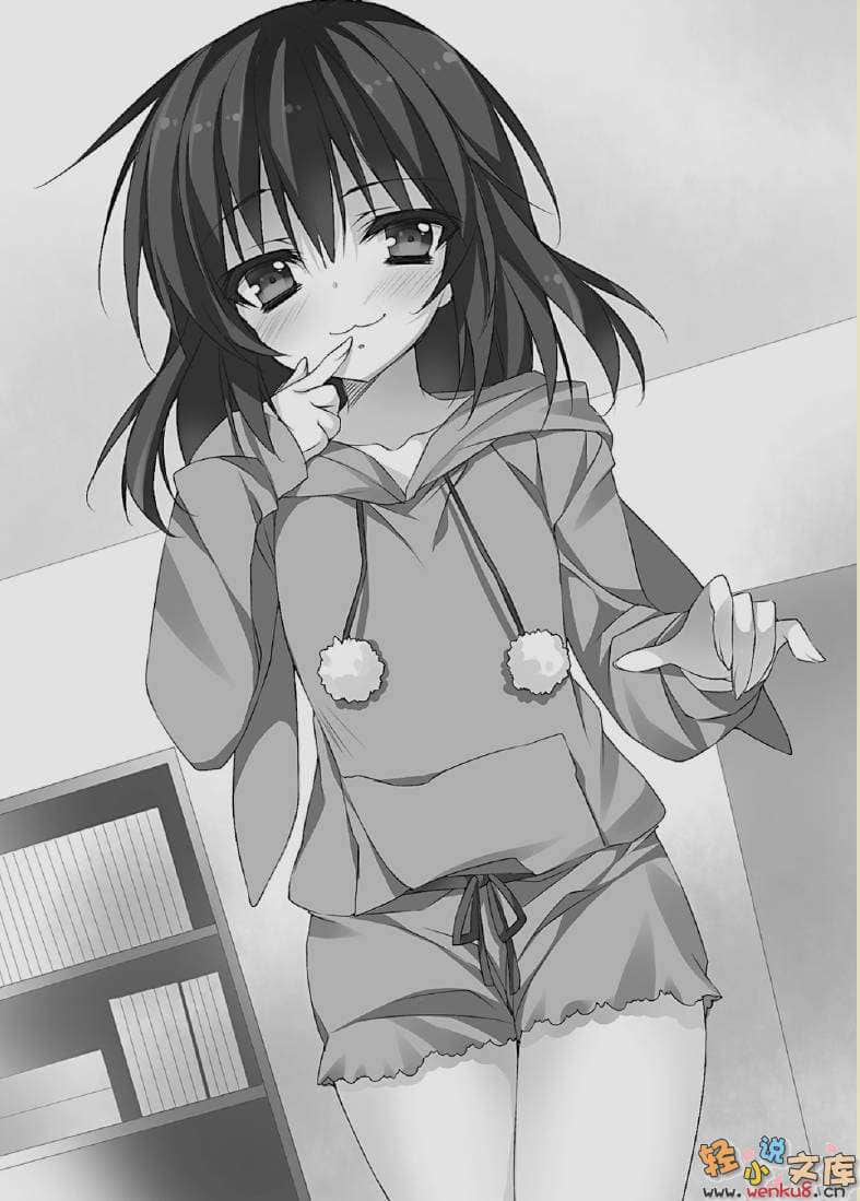 想变成宅女，就让我当现充！小说插图（40）