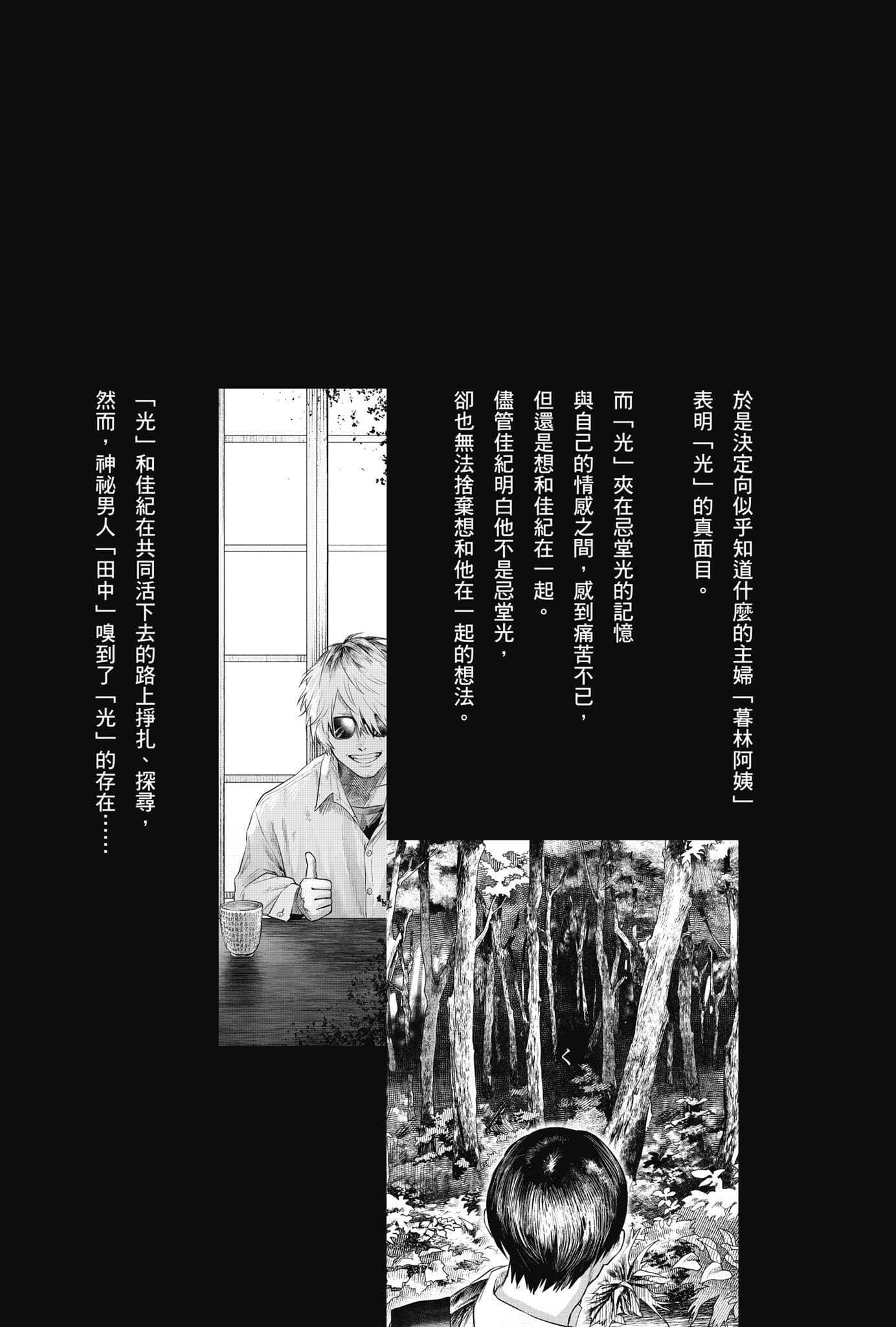 光逝去的夏天小说插图（15）